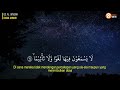 Surah Ar Rahman, Al Waqiah, Al Mulk, Al Kahfi & Ya Sin by Ismail Annuri