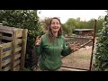 Permaculture Gardening Monthly Update - Self Sufficient Garden UK - Vlog 24