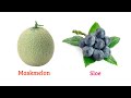 Fruits Vocabulary ll 100 Common Fruits Name in English With Pictures ll 100 Fruits Name in English