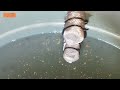 Budidaya Udang Vaname air tawar di ember || Doc 3 dan 5