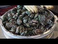 King of Korean Seafood!! Giant king crabs & various crabs - Korean street food compilation