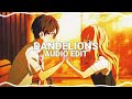 dandelions - ruth b. [edit audio]