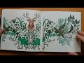 Miniature Enchanted Forest by Johanna Basford - Flip Throughs New and Completed