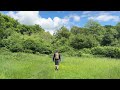 Martin Down Nature Reserve ASMR