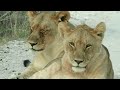 NAMIBIA - Part Three | Damaraland, Etosha, Twyfelfontein | 4K Cinematic Travel Video