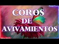 Coros Viejitos Pero Bonitos - Coros Pentecostales - Mas De 100 Coros Avivamiento Pentecostal