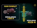 Beginilah Perjalanan Menuju Palung Terdalam di Dunia