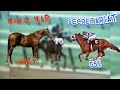 Man O’ War Vs Secretariat Who Would Win!?