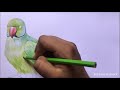 Parrot Drawing in Color Pencils | Bird Drawing | Camlin Color Pencil