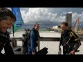 DIVING WITH BIG TIGER SHARKS- ShaneOgoeS UNDER THE OKALOOSA FISHING PIER