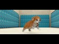 Beatboxing Puppy Dances To Driftveil City OST (Meme)