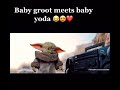 Baby Yoda meets Baby groot