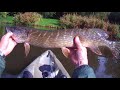 Jack (Pike) taken from my kayak on the river