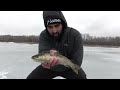 Ice Fishing for Perch, Rainbow Trout, and Tiger Trout