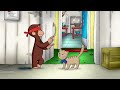 Curious George 🐵The Color of Monkey 🐵 Kids Cartoon 🐵 Kids Movies | Videos for Kids