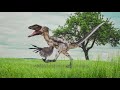 The Facts About Dinosaurs & Feathers