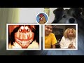 Cute Dog JUMPSCARE PRANK on Omegle!