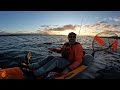 High Winds, STARRY FLOUNDER