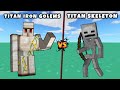 All Skeletons vs All Iron Golems - Mutant & Titan Skeleton vs Mutant Titan Iron Golem