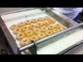 BEST Donuts in Texas