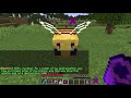 How to LIVE inside a BEE in Minecraft 1.15 Update