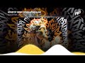 Nonstop 2024 Remix | Nhạc Cổ Đánh Đổ Dân Chơi - Tổng Hợp Nhạc Remix TikTok Cực Cháy