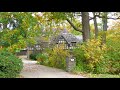 Beautiful AUTUMN Colors in Beautiful Neighborhood of old Toronto Homes and Home Decor Relax