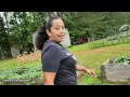 June Garden Tour | Food Forest Tour