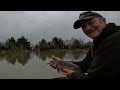 Live Fishing Match Win, Topcroft Lakes nr35 2bu, #matchfishinguk #topcroftlakes