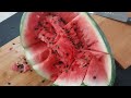 seed watermelons
