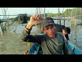 mancing sembilang disini emang gak ada matinya || umpan mancing sembilang