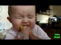 Bayi makan lemon ekspresinya lucu bikin ketawa ngakak kumpulan video anak