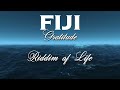 Fiji - Riddim of Life (Audio)