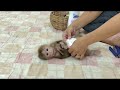 Little Kobie Sit Facing Back At Mom Very Gesture Angry Mom For Late Diapering For Her ,