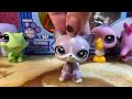 LPS Hunt With Me!!!