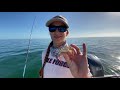 HOW TO CATCH COBIA FISH + Insane Shark Frenzy