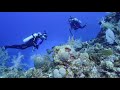 Scuba Diving in GRAND CAYMAN