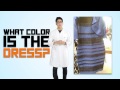 Brane Games: What Color is the Dress?