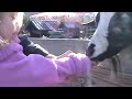 Feeding the Goats