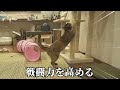 祝！野良猫から家猫になって１歳になりました