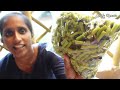 how to preserve raw food items for morethan one year/വർഷം മുഴുവൻ ഭഷ്യ സാധനങ്ങൾ ഫ്രഷ് ആയി സൂക്ഷിക്കാം