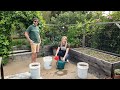 How to Make Actively Aerated Compost Tea