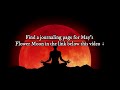 🔴 May 15th BLOOD MOON Eclipse: A Super Moon to Awaken Your Inner Wisdom