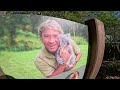 Australia zoo, Irwin’s and Americans Vlog