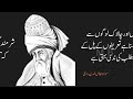 MAULANA RUMI QUOTES IN URDU | Agar zindagi Mein khush Rehna Hai - مولانا رومیؒ