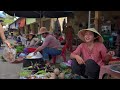 Colheita de RAIZ DE GALANGA e BATATA DOCE Levando para VENDER no Mercado Local | VIDA RURAL
