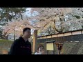 2023年4月15日弘前公園桜まつり