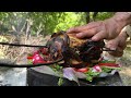 tandoori Chicken🔥 Cooking a whole chicken the garden