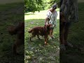 Buck’s last long walk