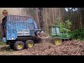 Dangerous Powerful Wood Chipper Machines in Action, Crazy Tree Shredder Machines Working